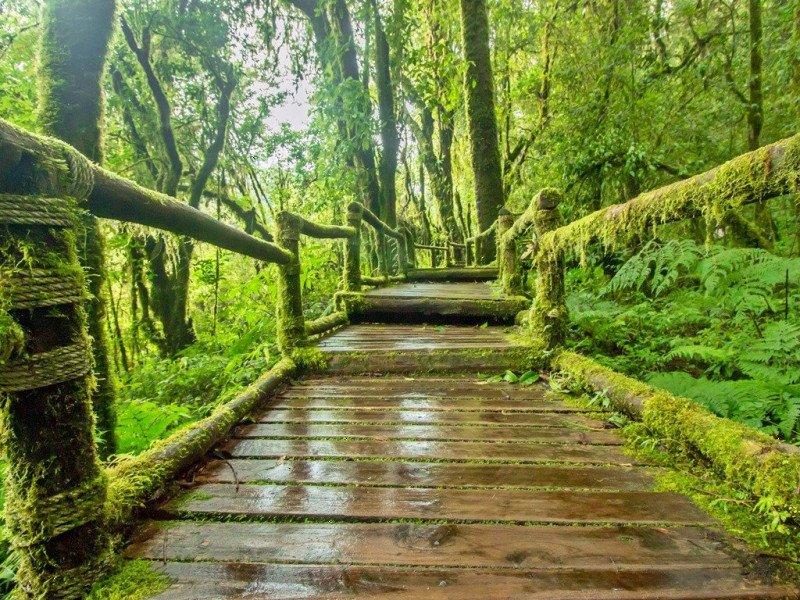 aller de Singapour aux Cameron Highlands