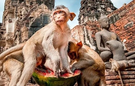 Thaïlande aller de Bangkok à Lopburi