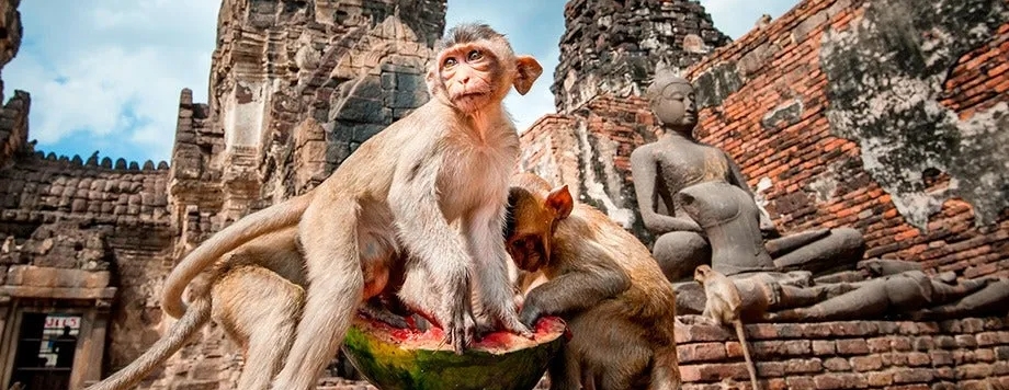 Thaïlande aller de Bangkok à Lopburi