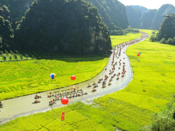 vietnam aller de Da Nang à Ninh Binh