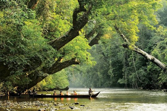 malaisie aller de Kuala Lumpur à Taman Negara