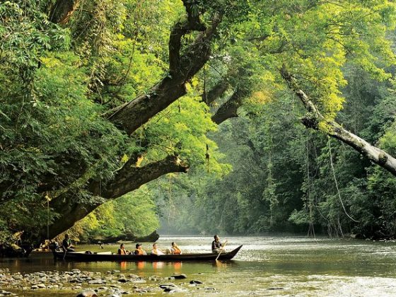 malaisie aller de Kuala Lumpur à Taman Negara