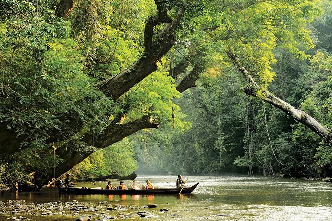 malaisie aller de Kuala Lumpur à Taman Negara