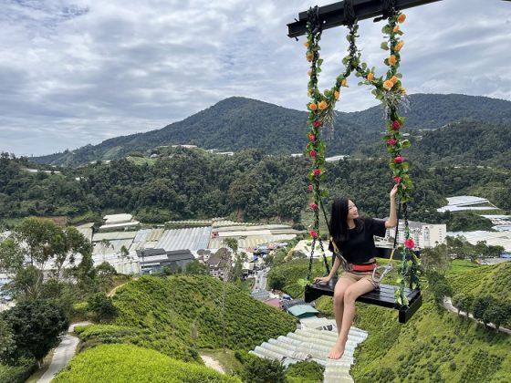 malaisie aller de Kuala Lumpur aux Cameron Highlands